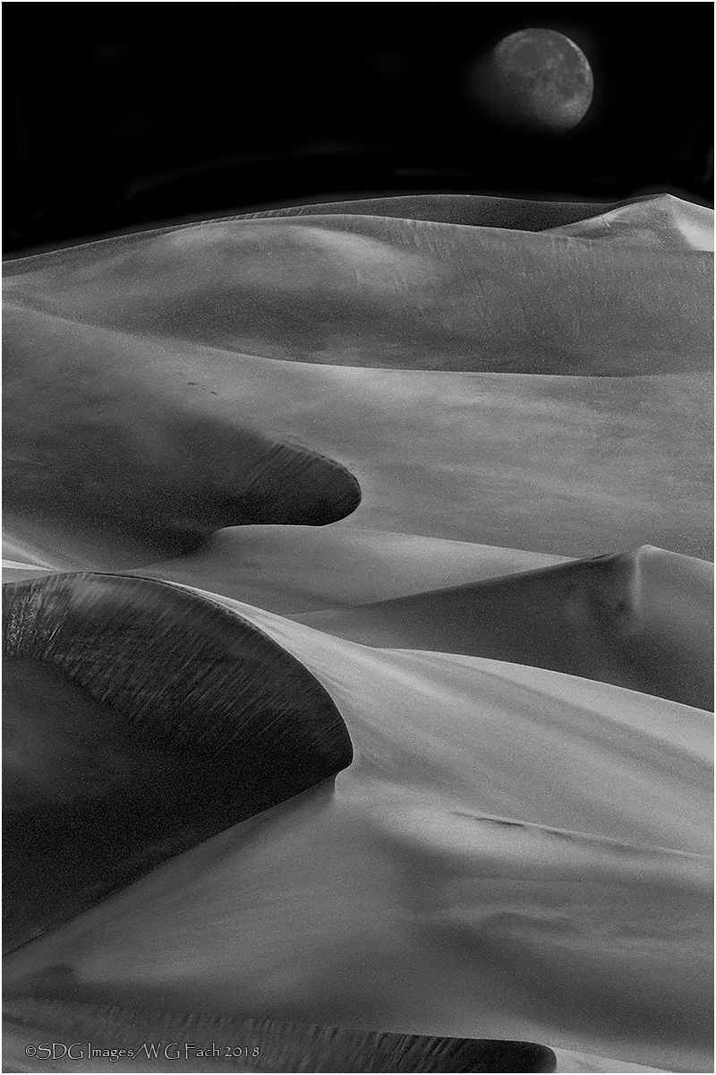 Parting Shot II