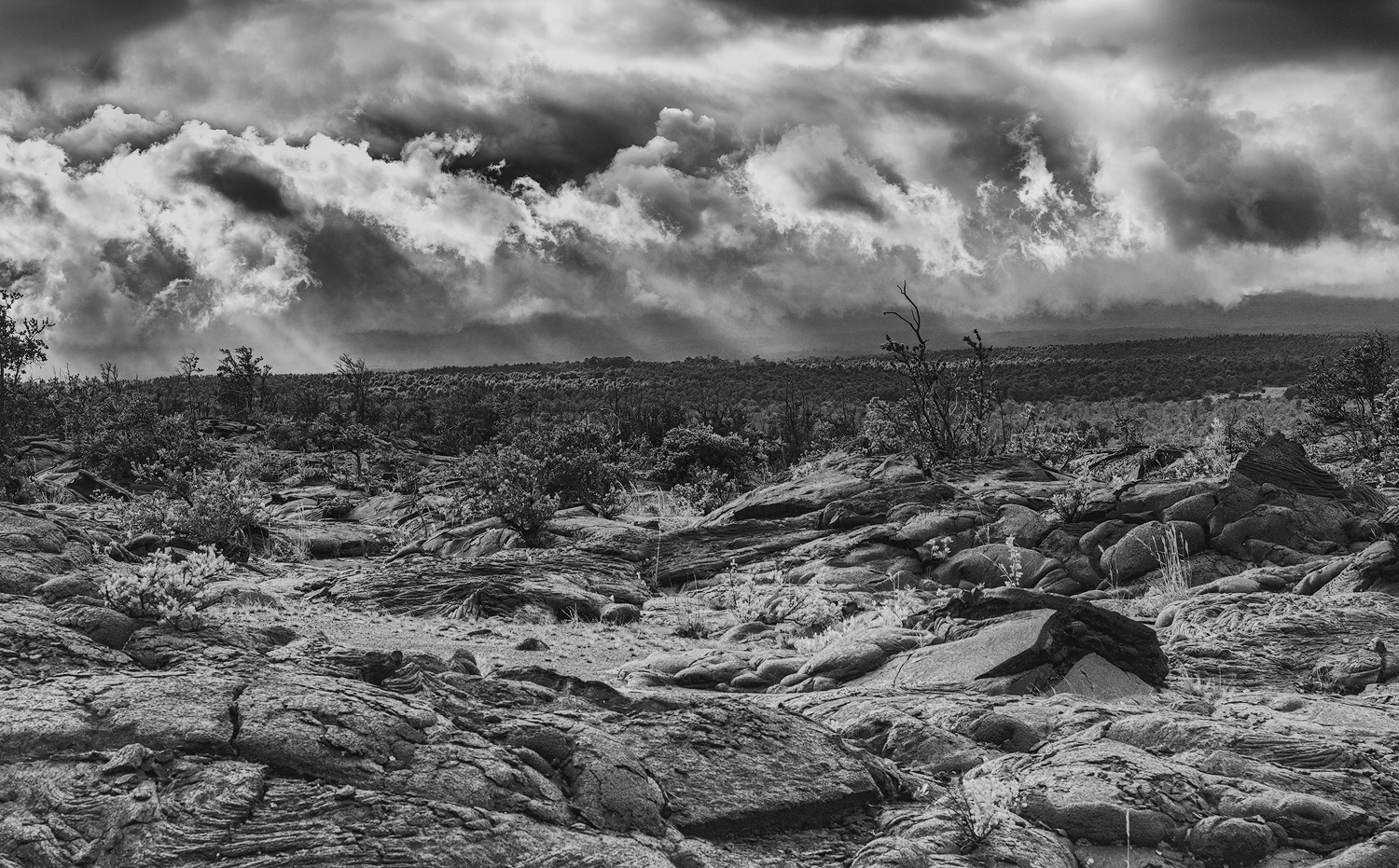 K'au Desert View