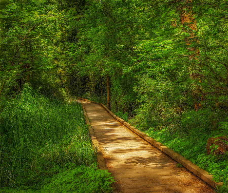 Walk into Green