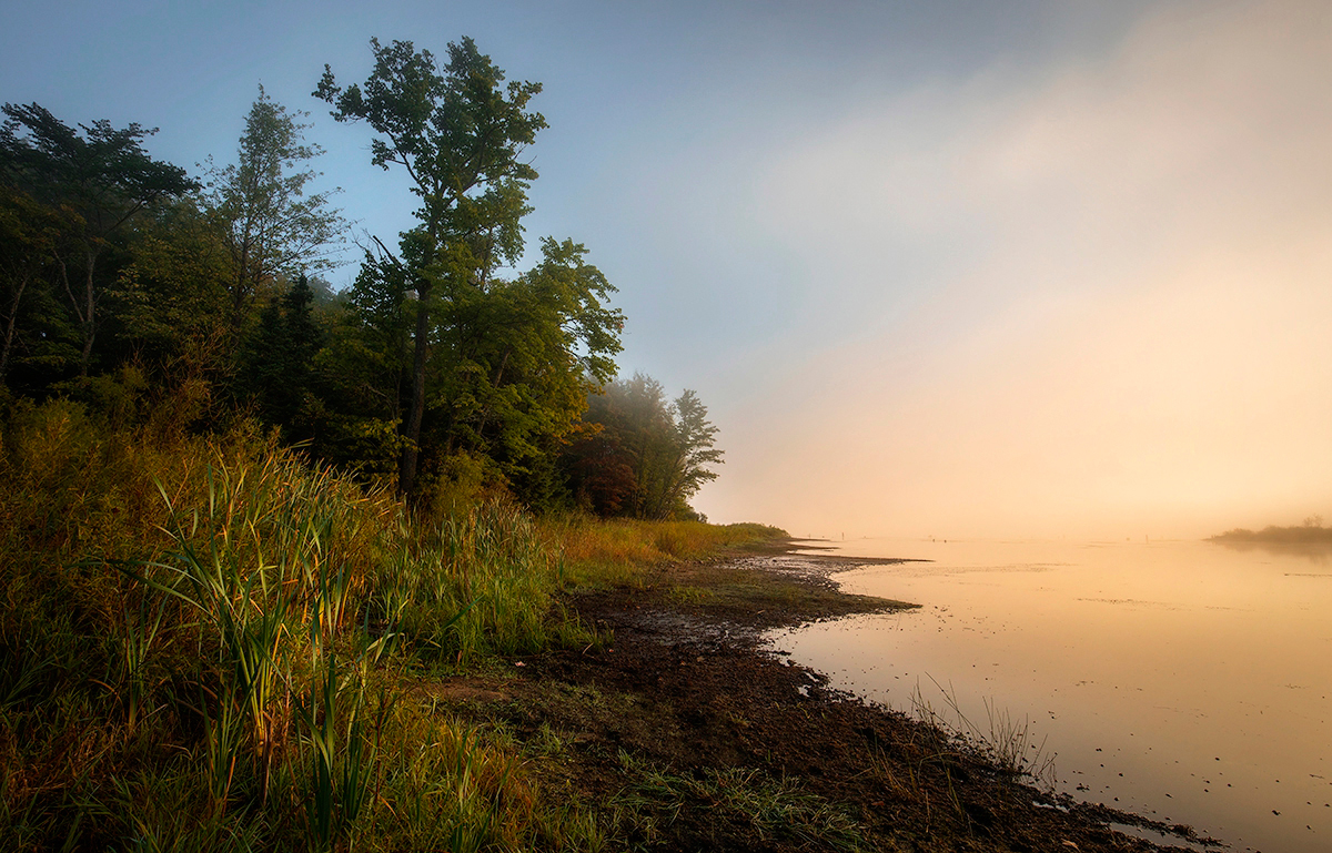 Forest Lake and Fog