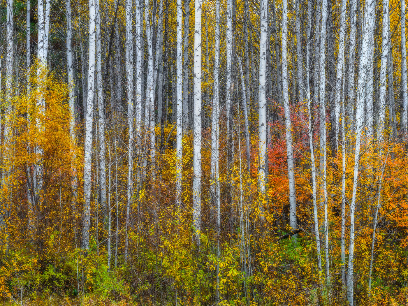 Leavenworth, WA / With Edits