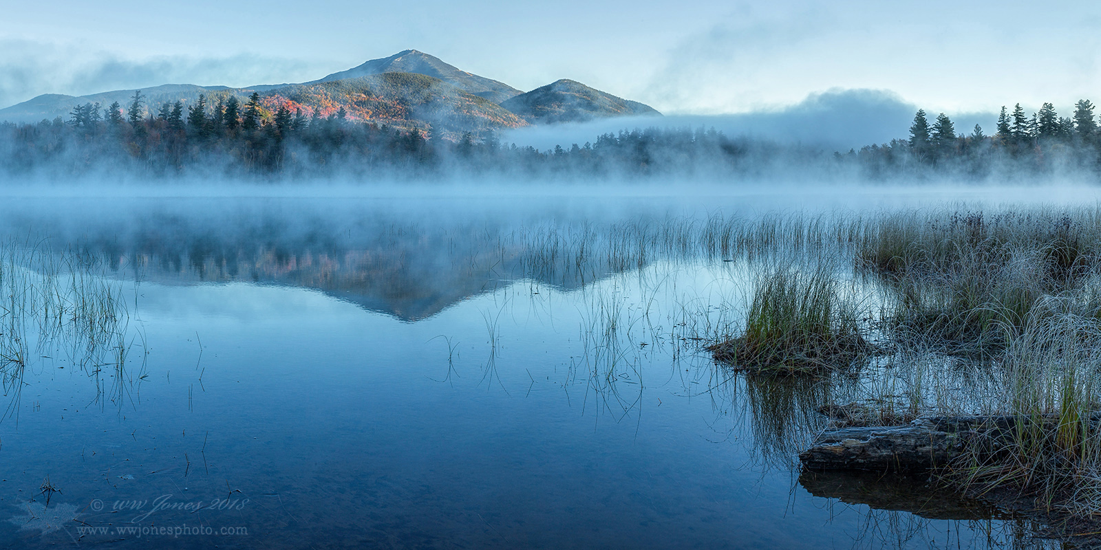 Connery Pond Morning