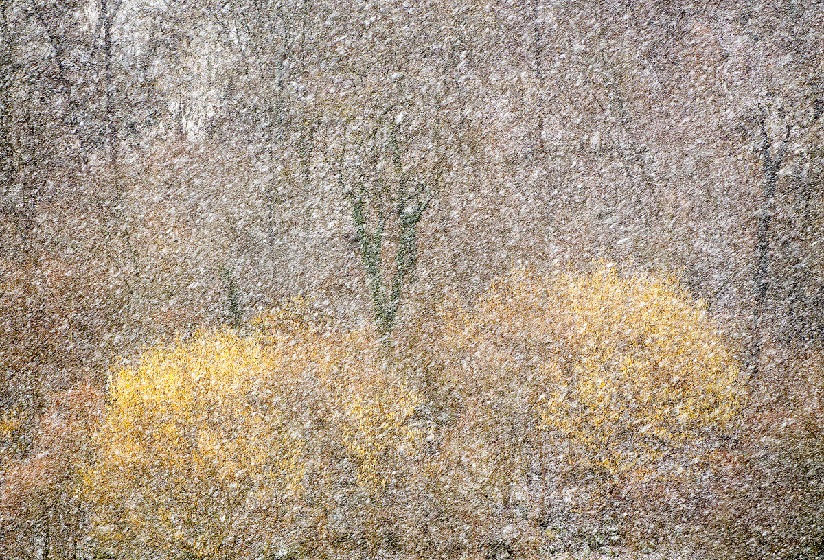 Snowy Impressions + alt