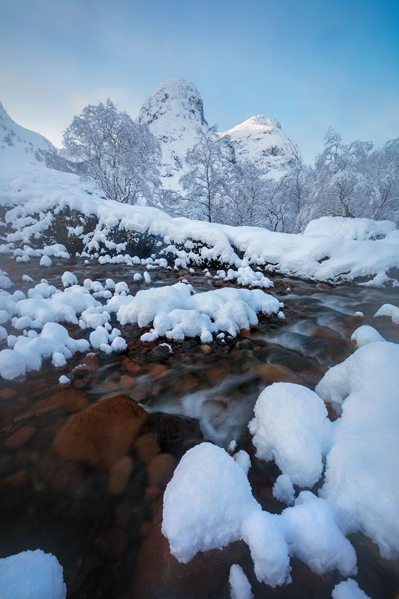 Midwinters Morning Dream