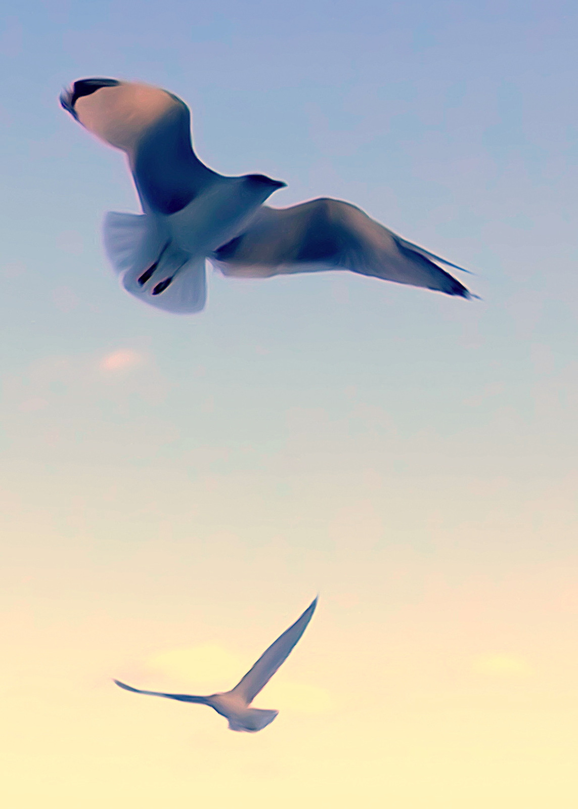 Pastel Wings