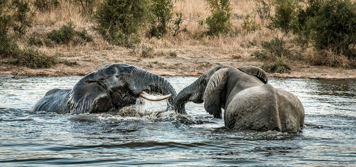 Water Play
