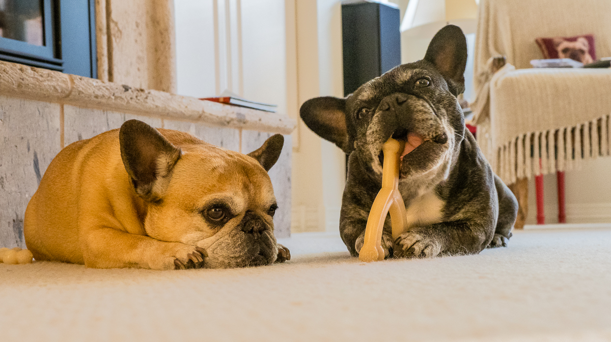 Peggy Doesn't Share