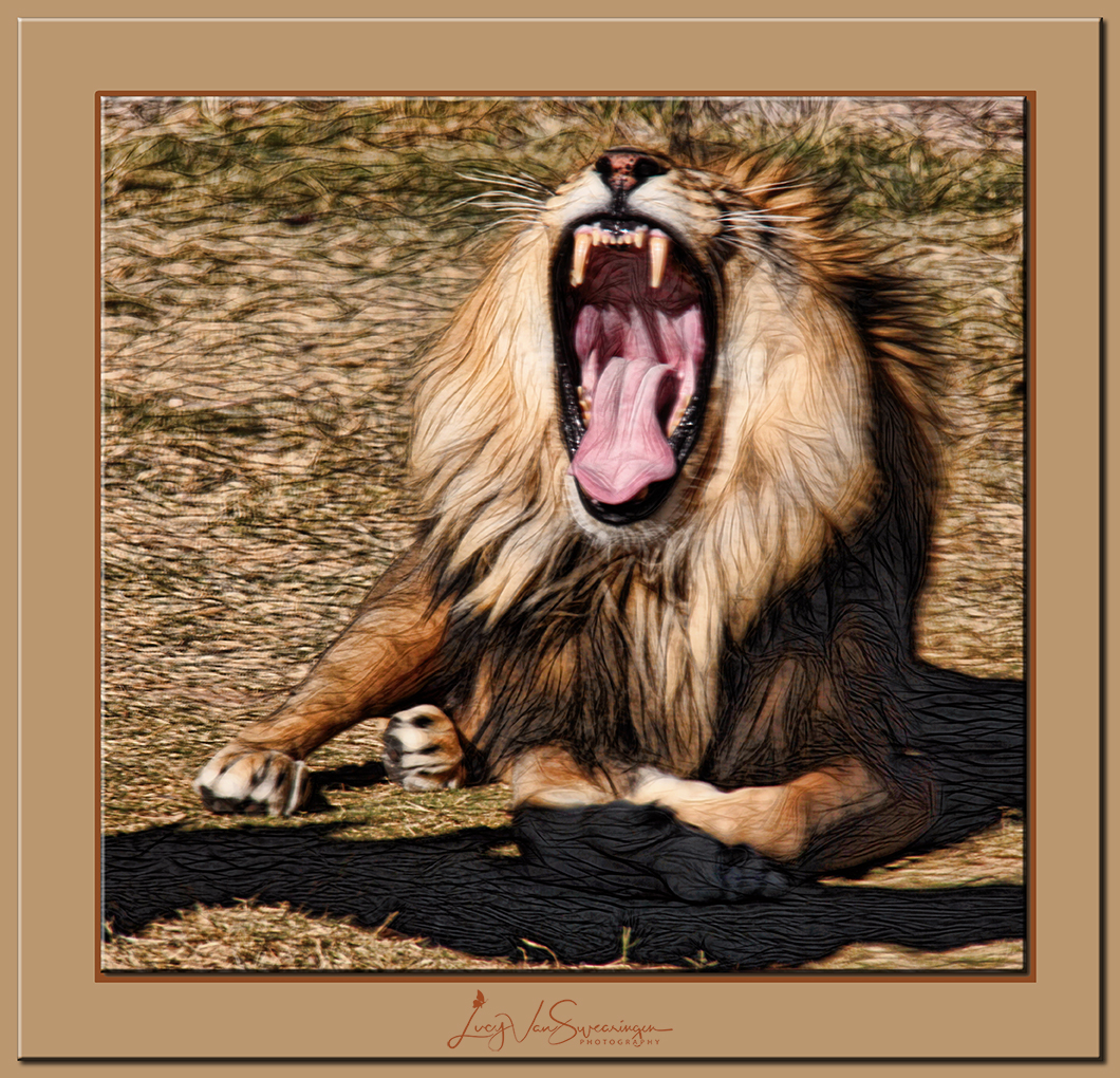 The Big Yawn