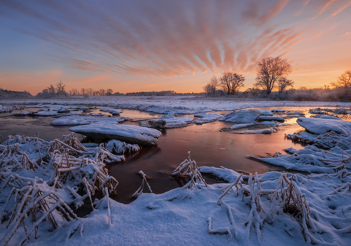 Marsh Magic  Edit X 2