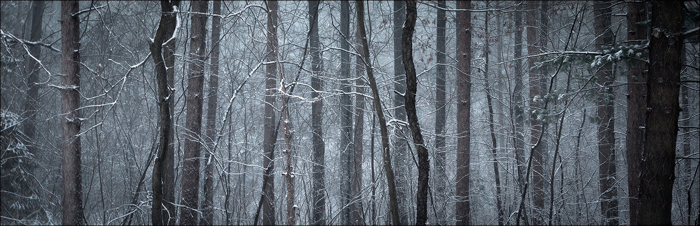 Deep Woods + rp