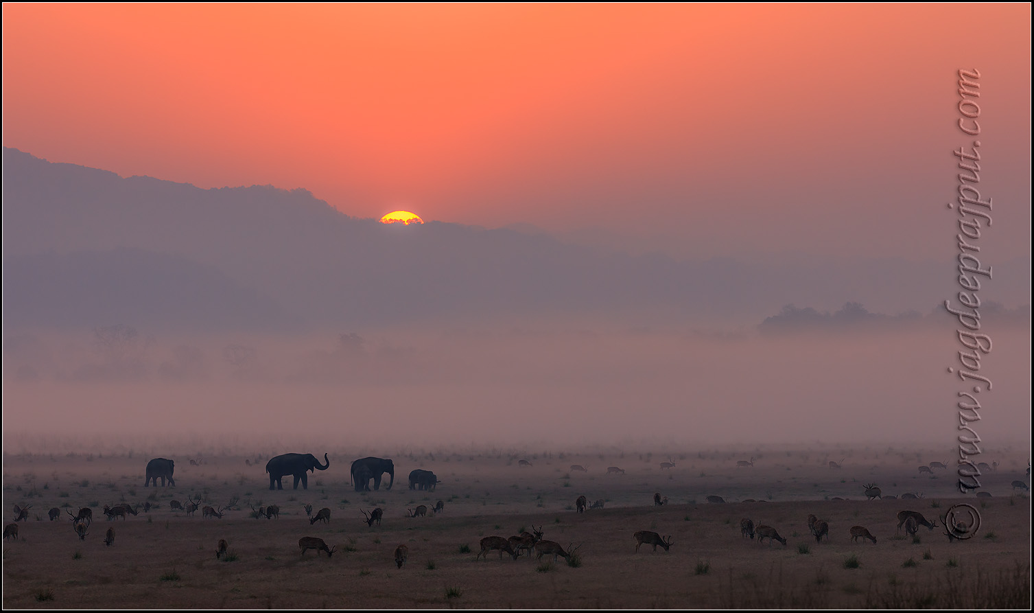 Sunrise