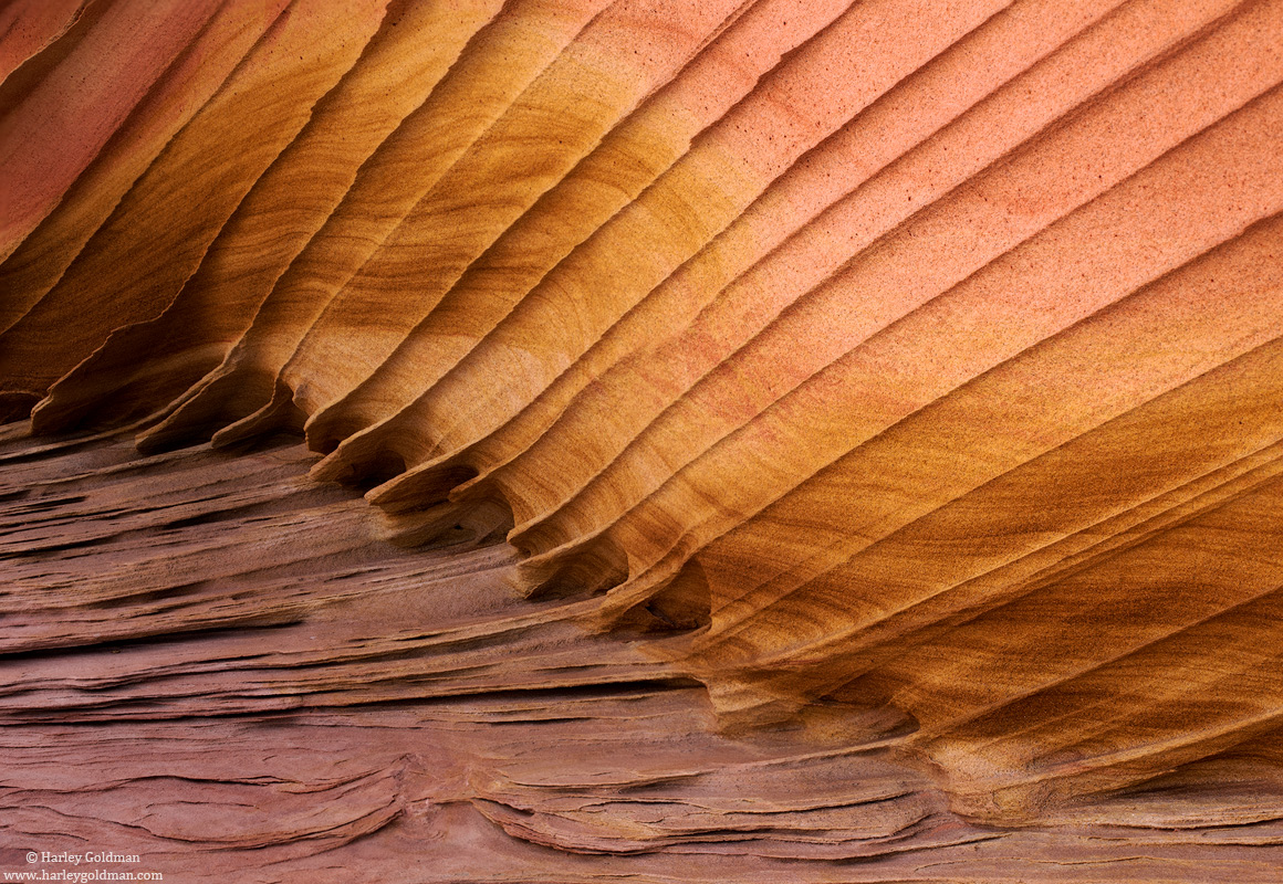 Stone Fins