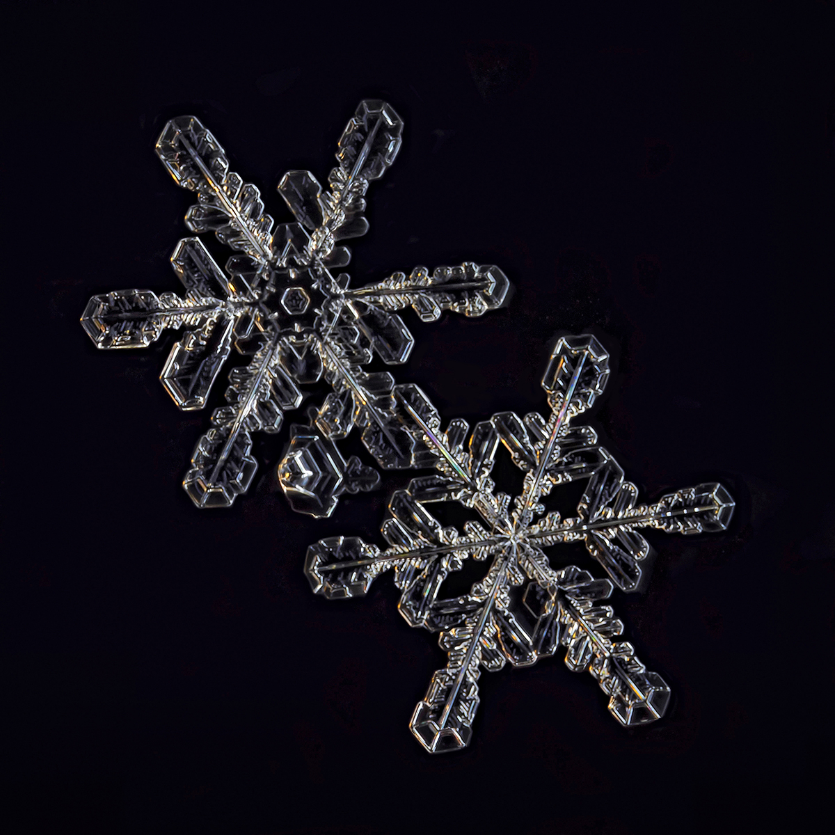 3 snow crystals