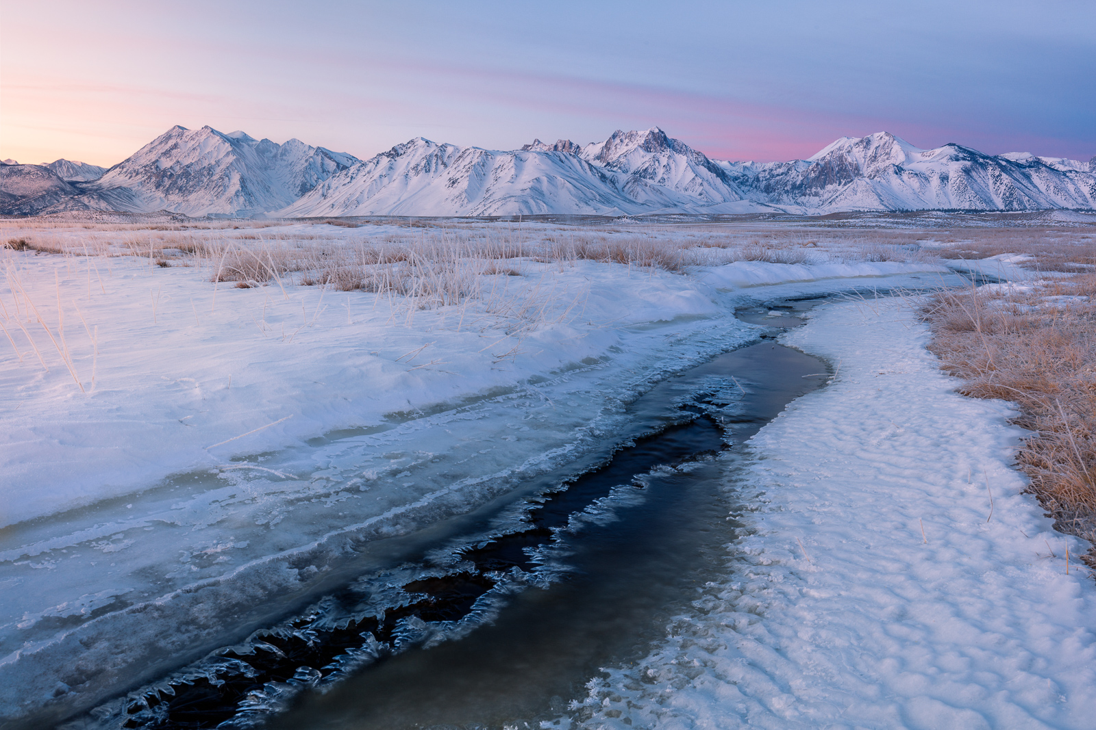 Cold Silence