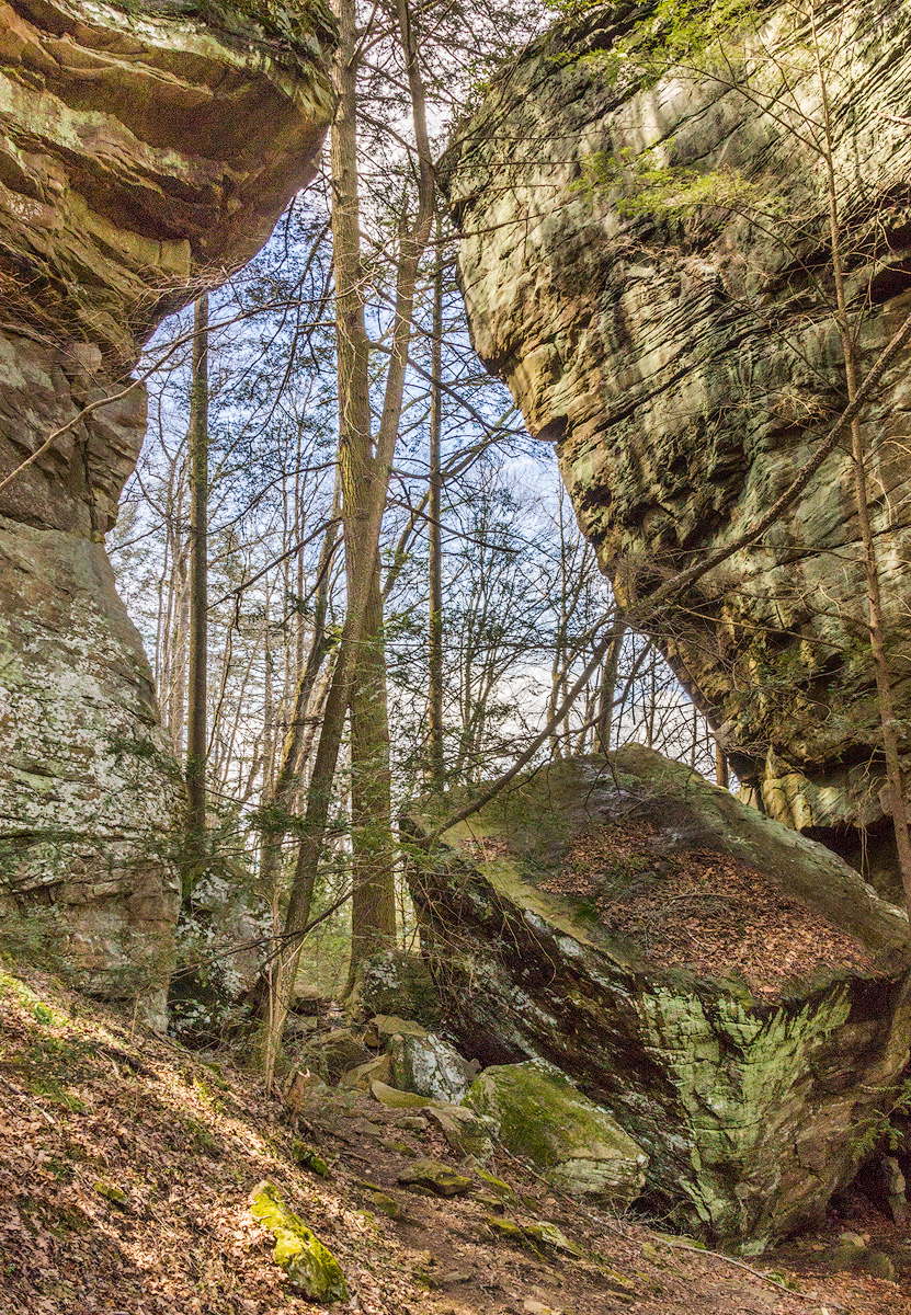 Sunlit dappled monoliths