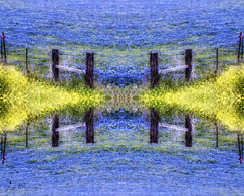 Elysian Fields