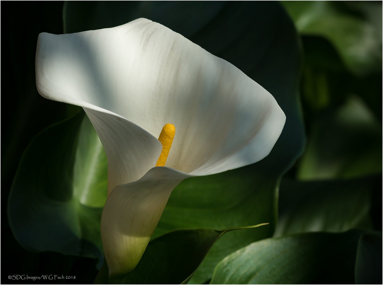 Deep Recesses