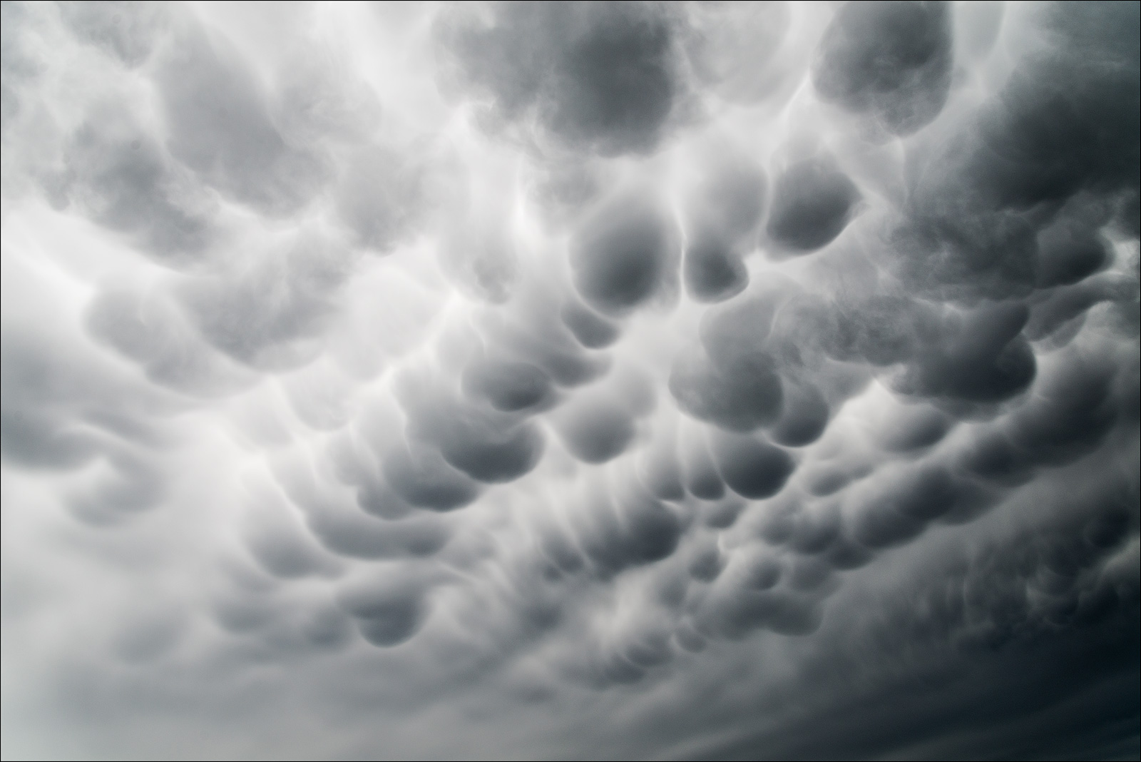 WC#833 Clouds - Mammatus