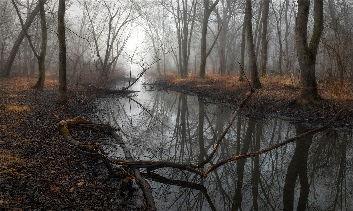 Fog in the River Bottoms