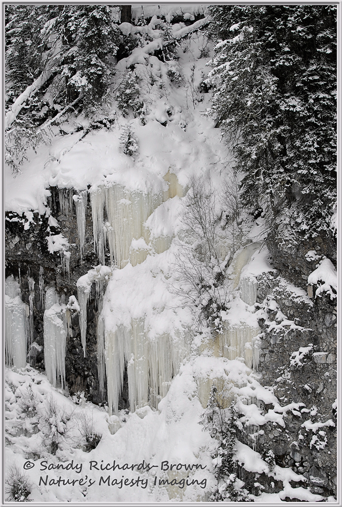 IceBox Canyon