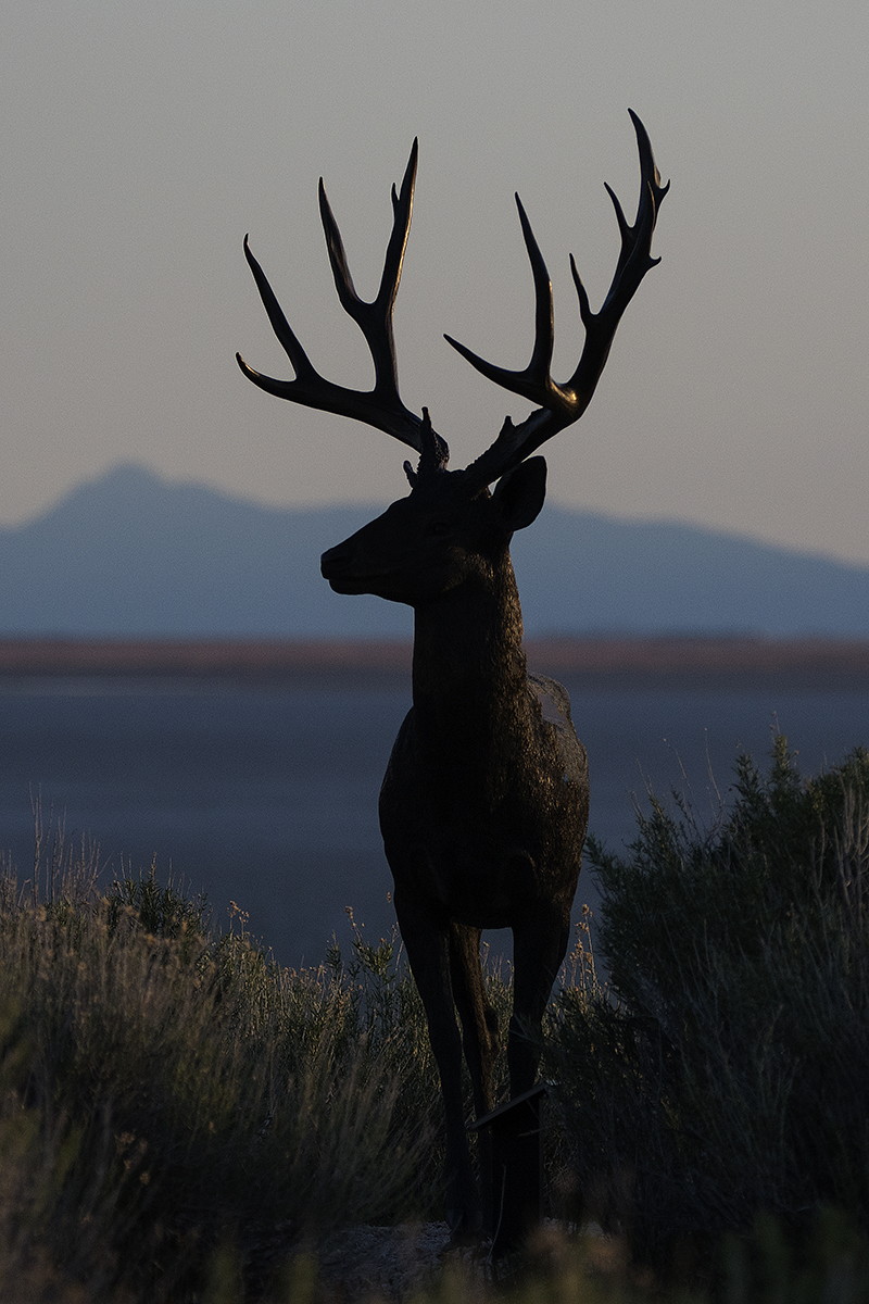 Mule Deer Bronze
