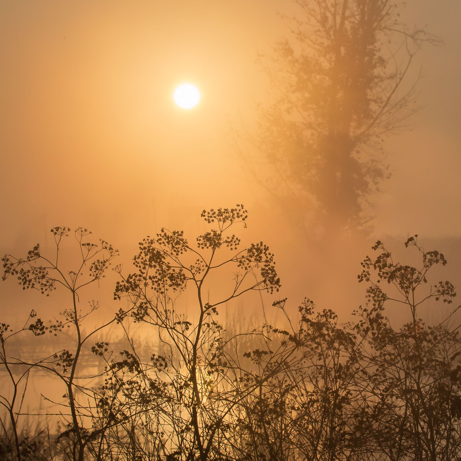 Merced Refuge-WC