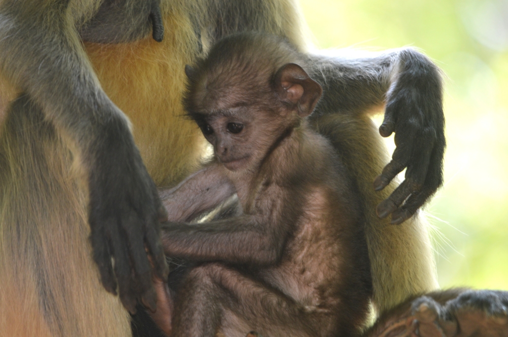 Mommy and Me...