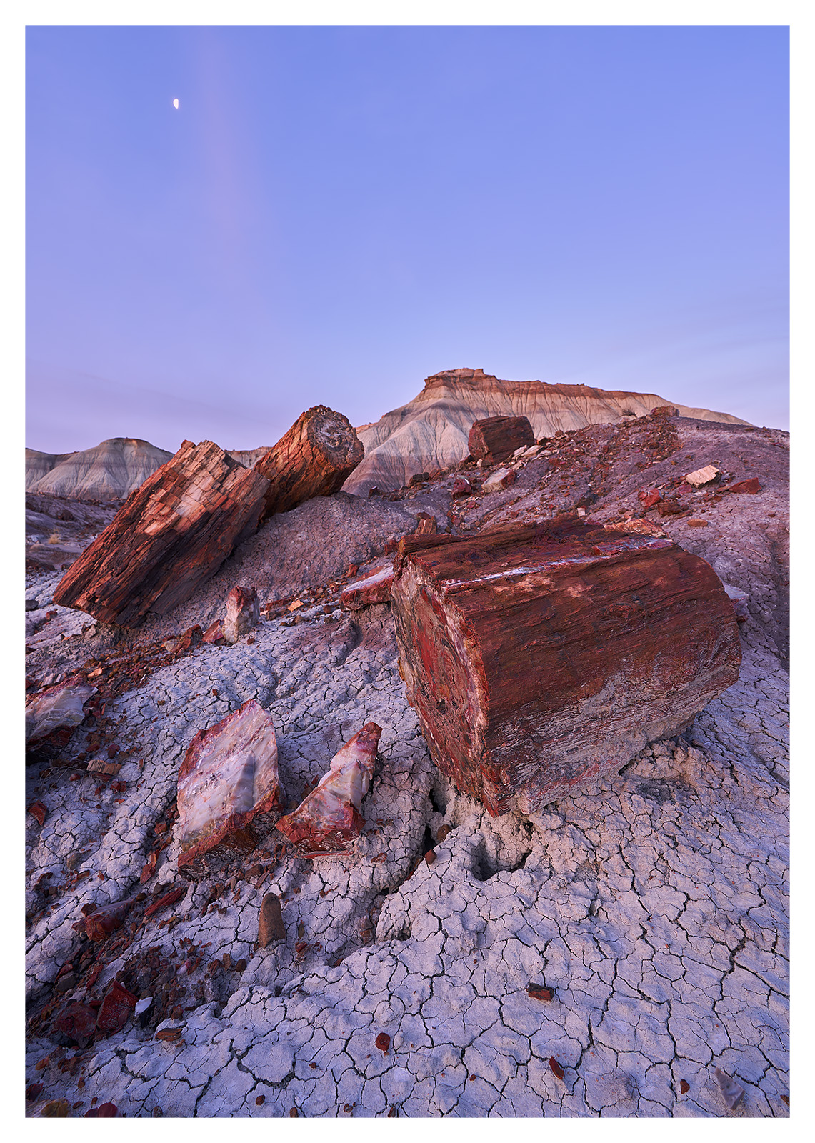 Petrified forest NP