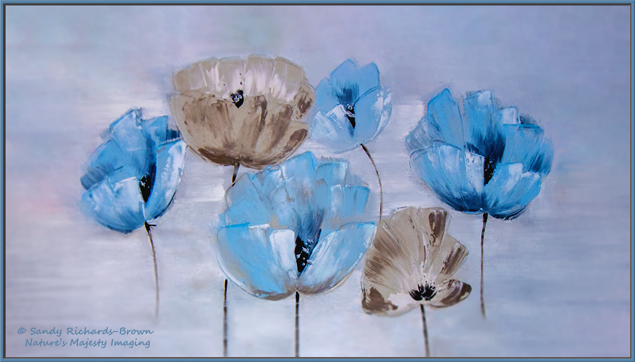 Poppies