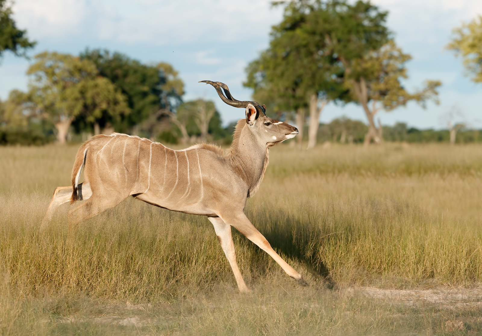 Running Kudu