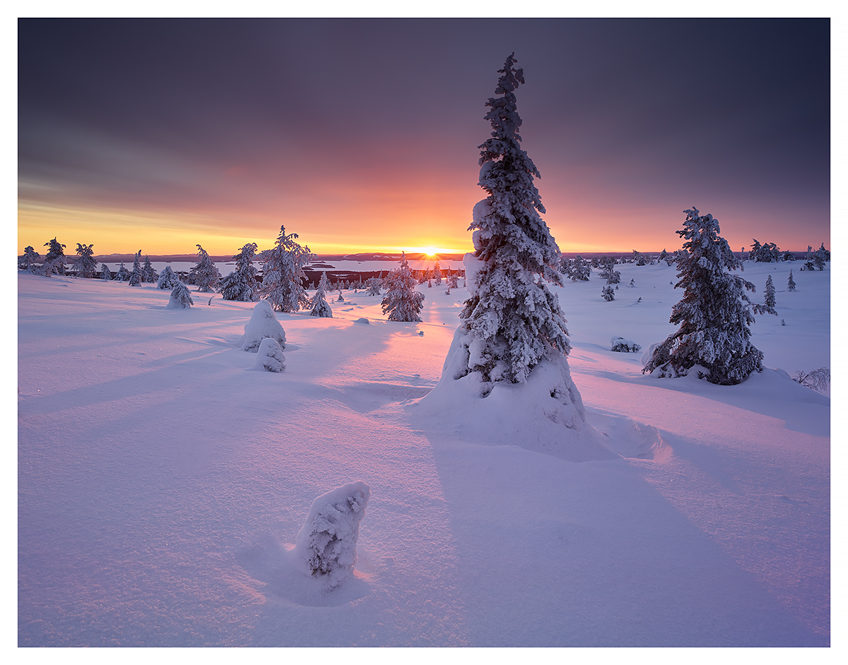 Arctic Explosion