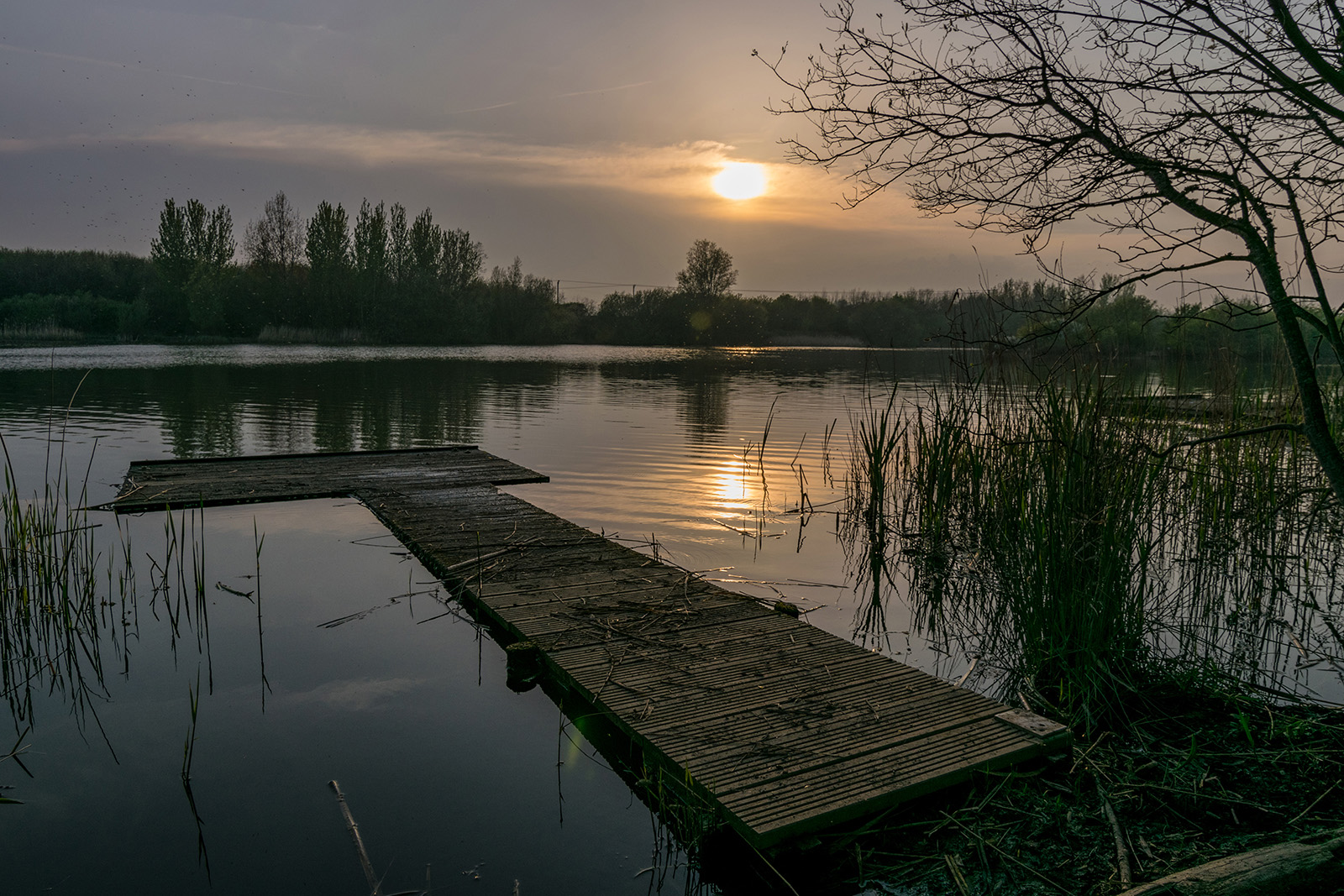 Lakeside reflection