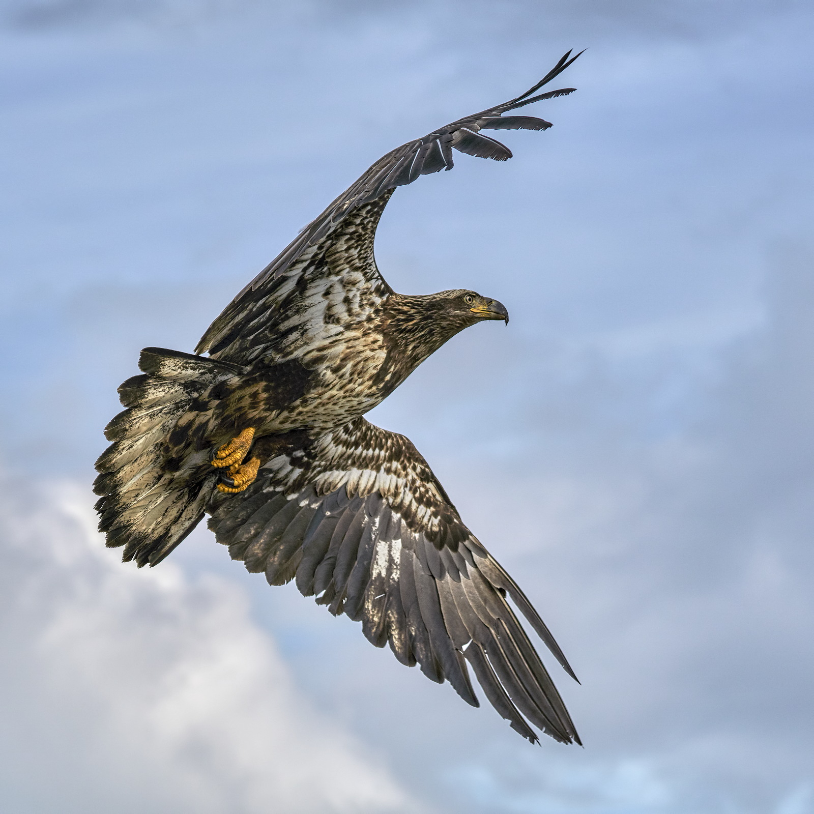 Juvenile Jurisdiction