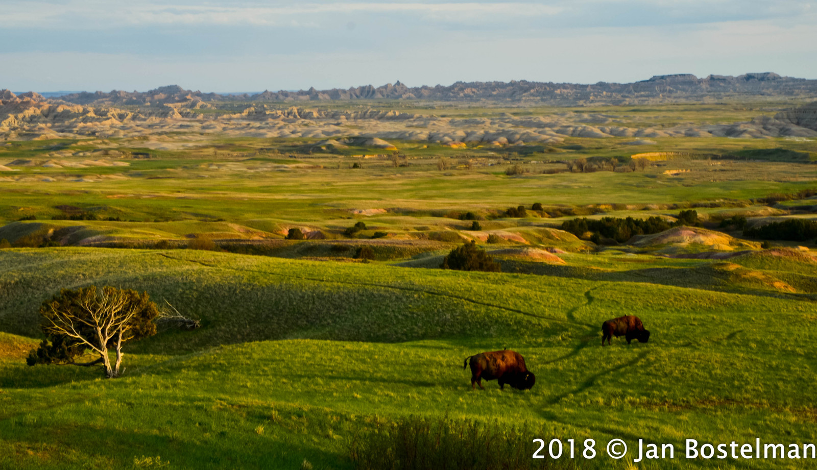 Badlands Scene