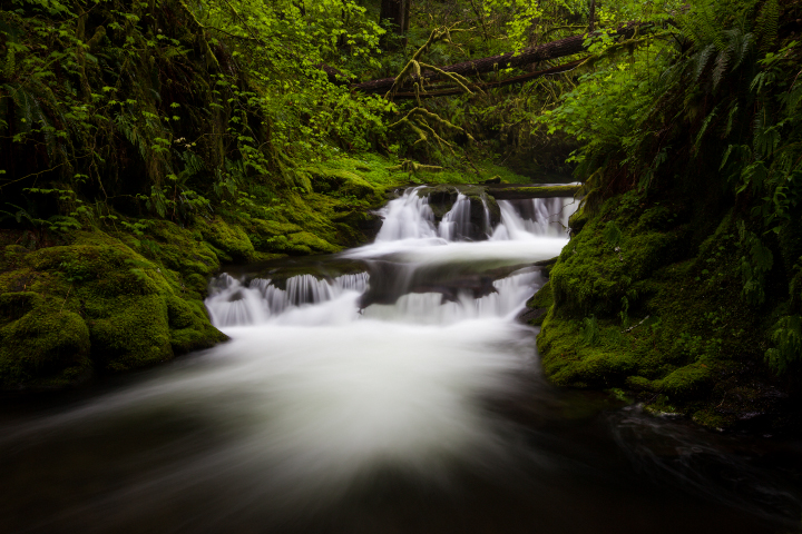 Duncan Creek