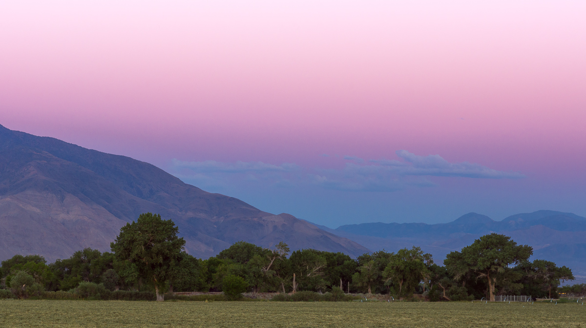 Purple Dusk