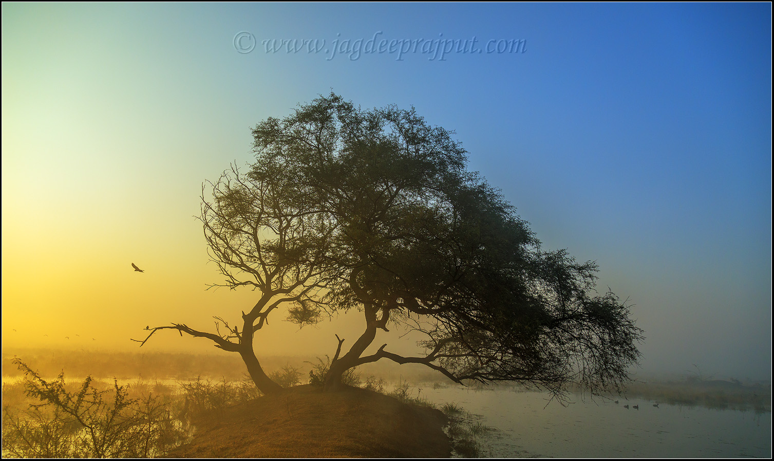 Sunrise