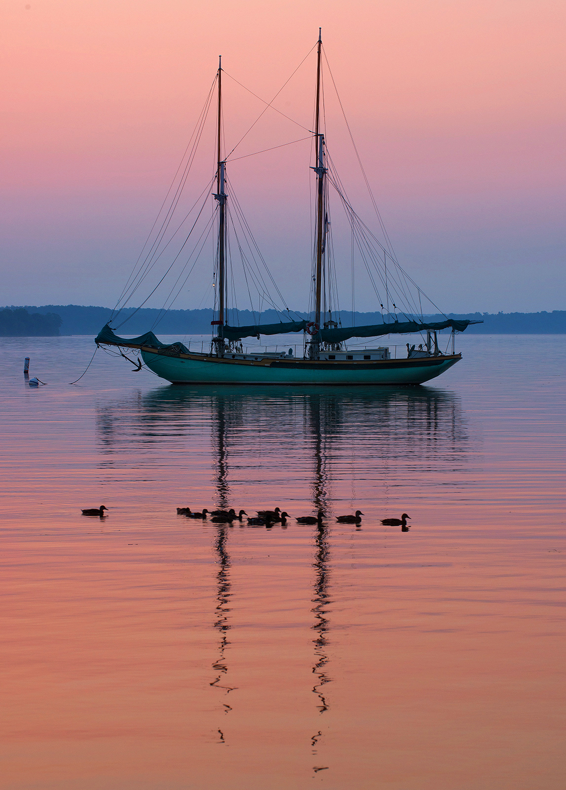 Tranquility