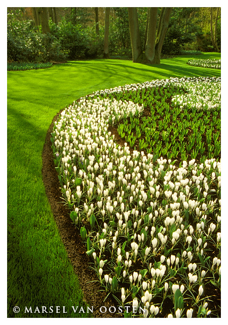 WC #169 - Hocus Crocus