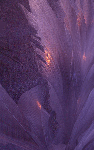 Frost II