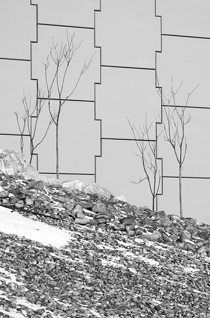 Tree Shadows and I-15 Wall