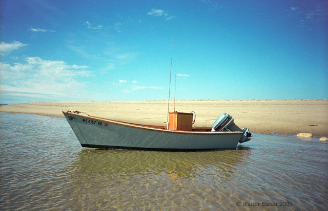 WC#173-My ORV-1999