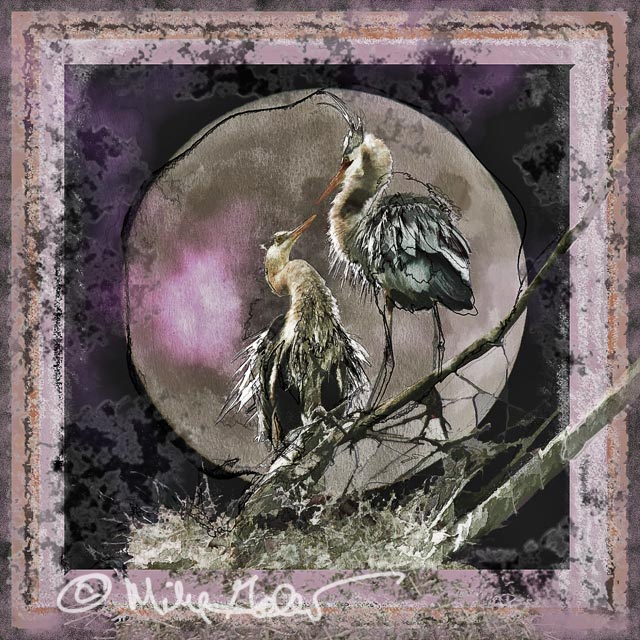 MOONSTRUCK