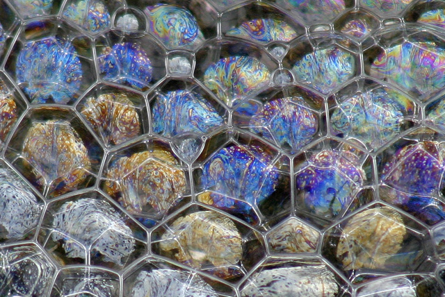 WC # 196 Water Bubbles