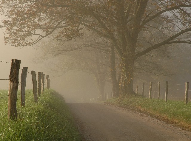 Road In Cades Cove