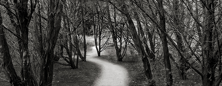 Walnut Creek Path