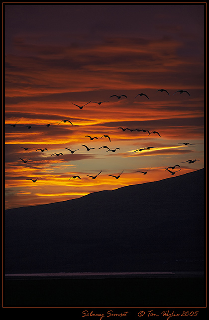 Solway Sunset