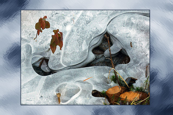 The Dead Season #2