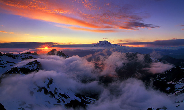 The Dreamscape