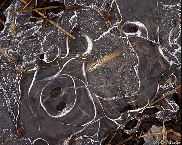 WC#213 - Frozen Ground Water